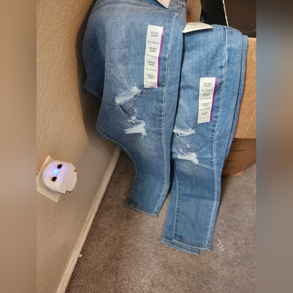 Levi - Picture 9 of 11